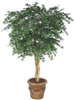 Artificial Trees & Topiaries | Faux Trees for Home, Office